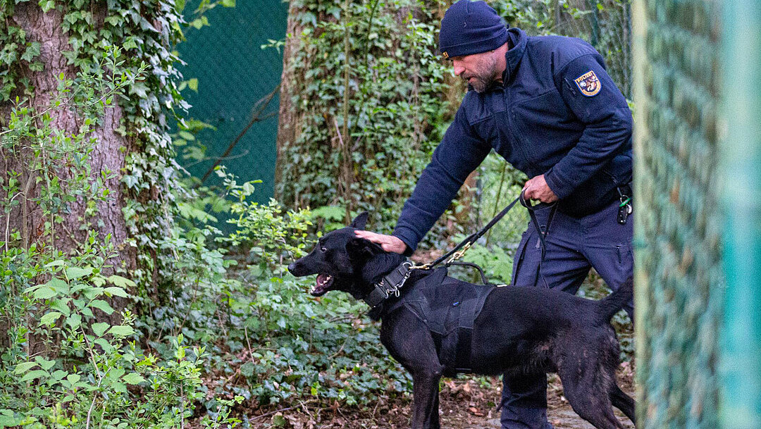 Polizei Hundestaffel im Tierpark Hellabrunn 