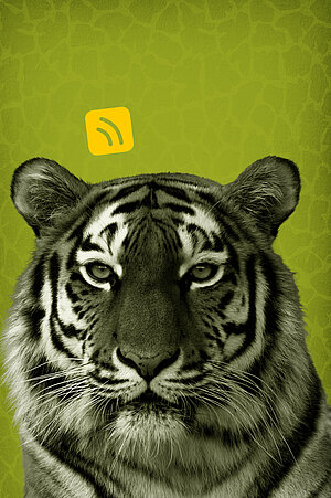 Coverbild des Podcast "Mia san Tier", das einen Tiger zeigt.