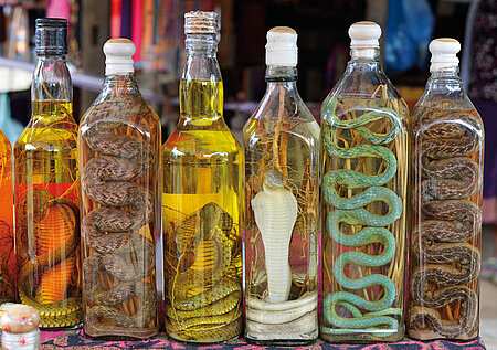 Mehrere Flaschen, in denen Schlangen für den Verkauf illegal konserviert wurden.