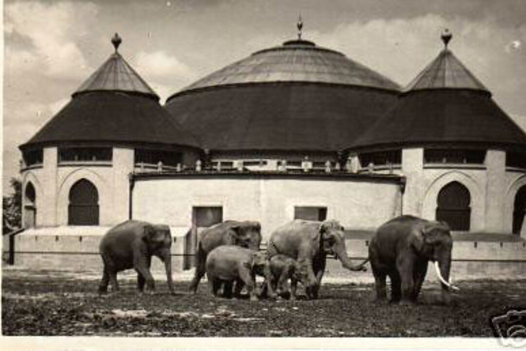 The elephant house 1932