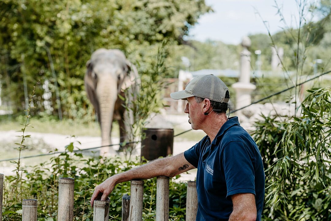 Vorne Rechts steht ein Tierpfleger mit dunkelblauben Shirt und Mikrofon und gucjt nach links. Im Hintergrund ist ein asiatischer Elefant zu erkennen.