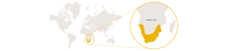 Verbreitungskarte Kap Klippschliefer