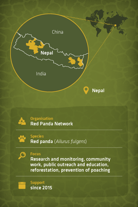 profile project "Red Panda Network"
