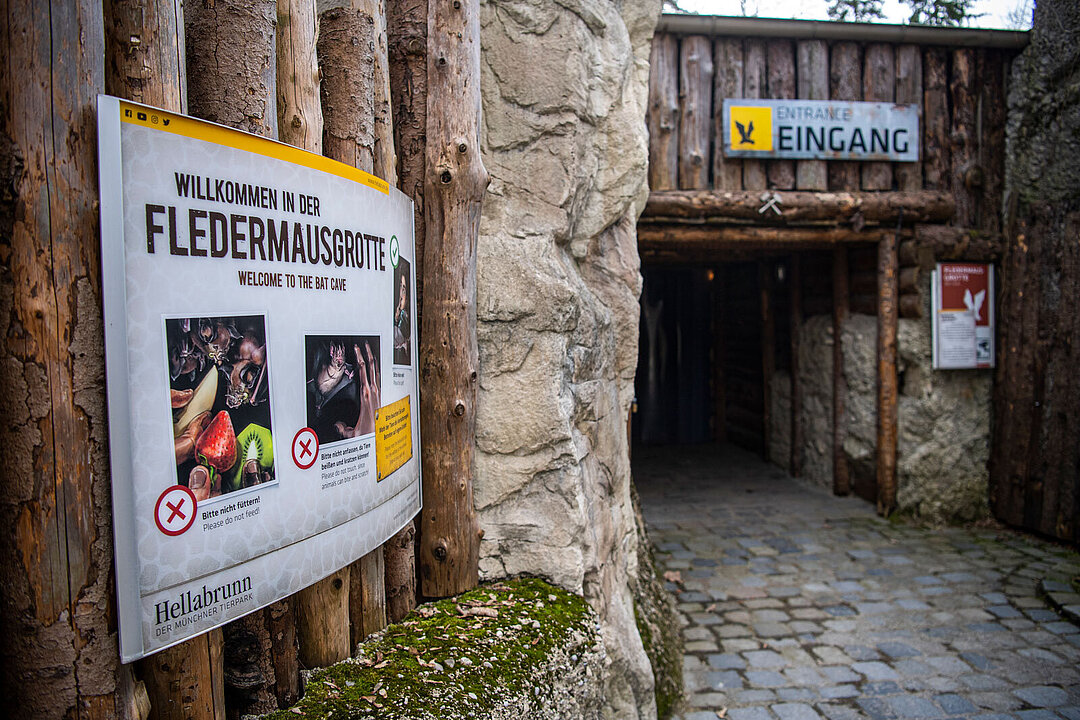 Eingang der Fledermausgrotte im Tierpark Hellabrunn. Links ist ein Schild mit Verbotshinweisen, rechts befindet sich der Eingang.