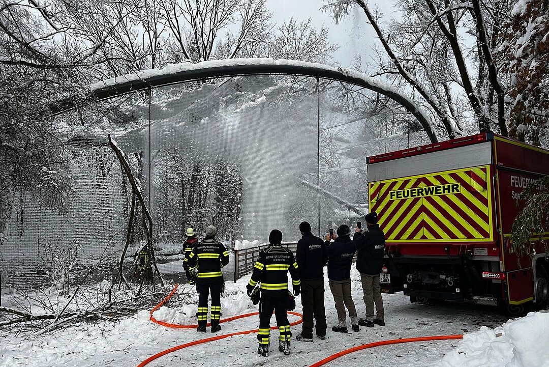 The fire department removes the snow from the flamingos' aviary.
