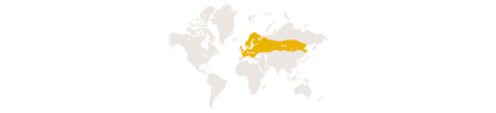 Distribution map adder