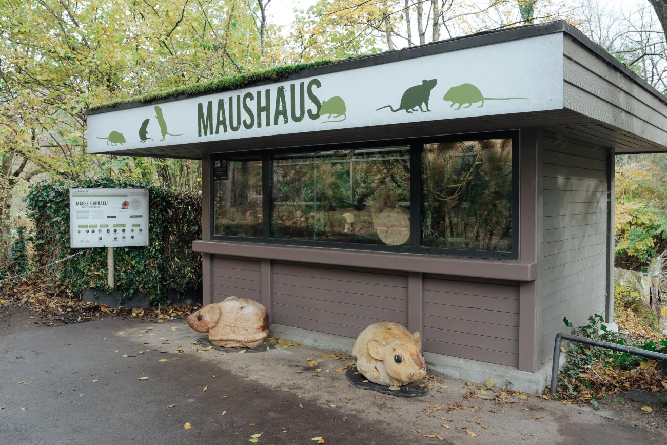 Maushaus nach der Renovierung