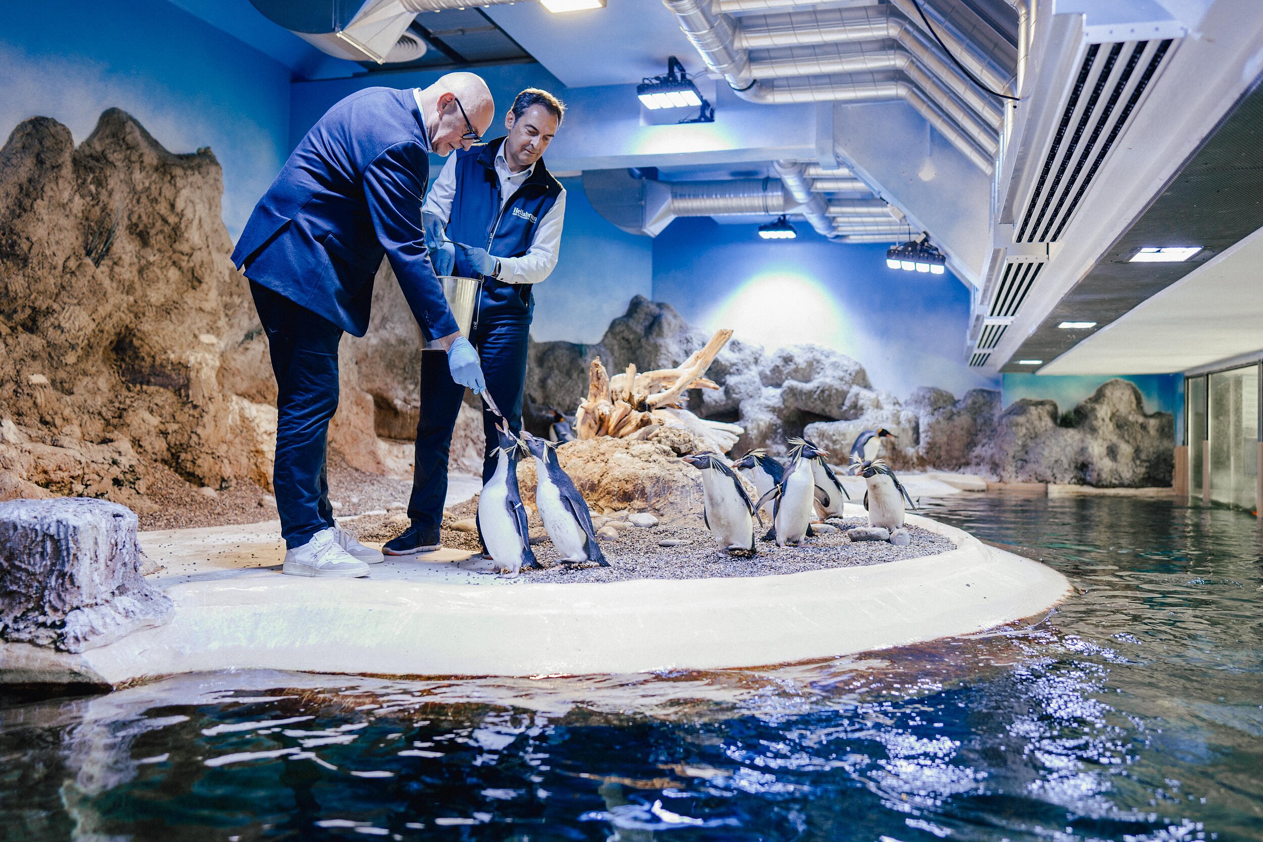 Tierparkdirektor Dr. h.c. Rasem Baban und Jörg Franzen, Geschäftsführer der Münchner Wohnen GmbH in der Pinguin-Anlage der Hellabrunner Polarwelt. Die Wohnungsbaugesellschaft patet zwei Könisgpinguine - beim Füttern sind die Felsenpinguine jedoch schneller....