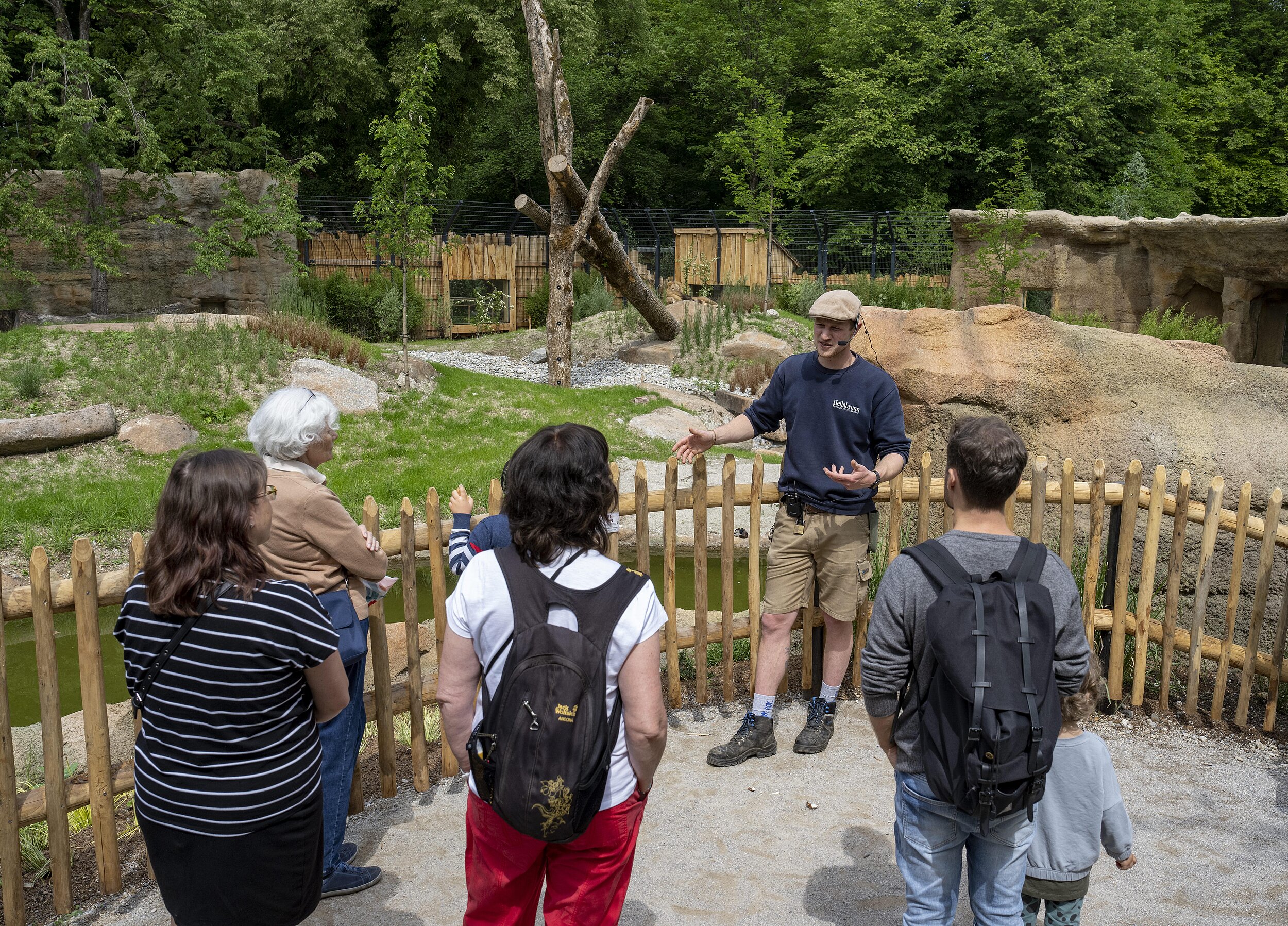 Viel Wissenwertes über die Löwenanlage im Münchner Tierpark Hellabrunn