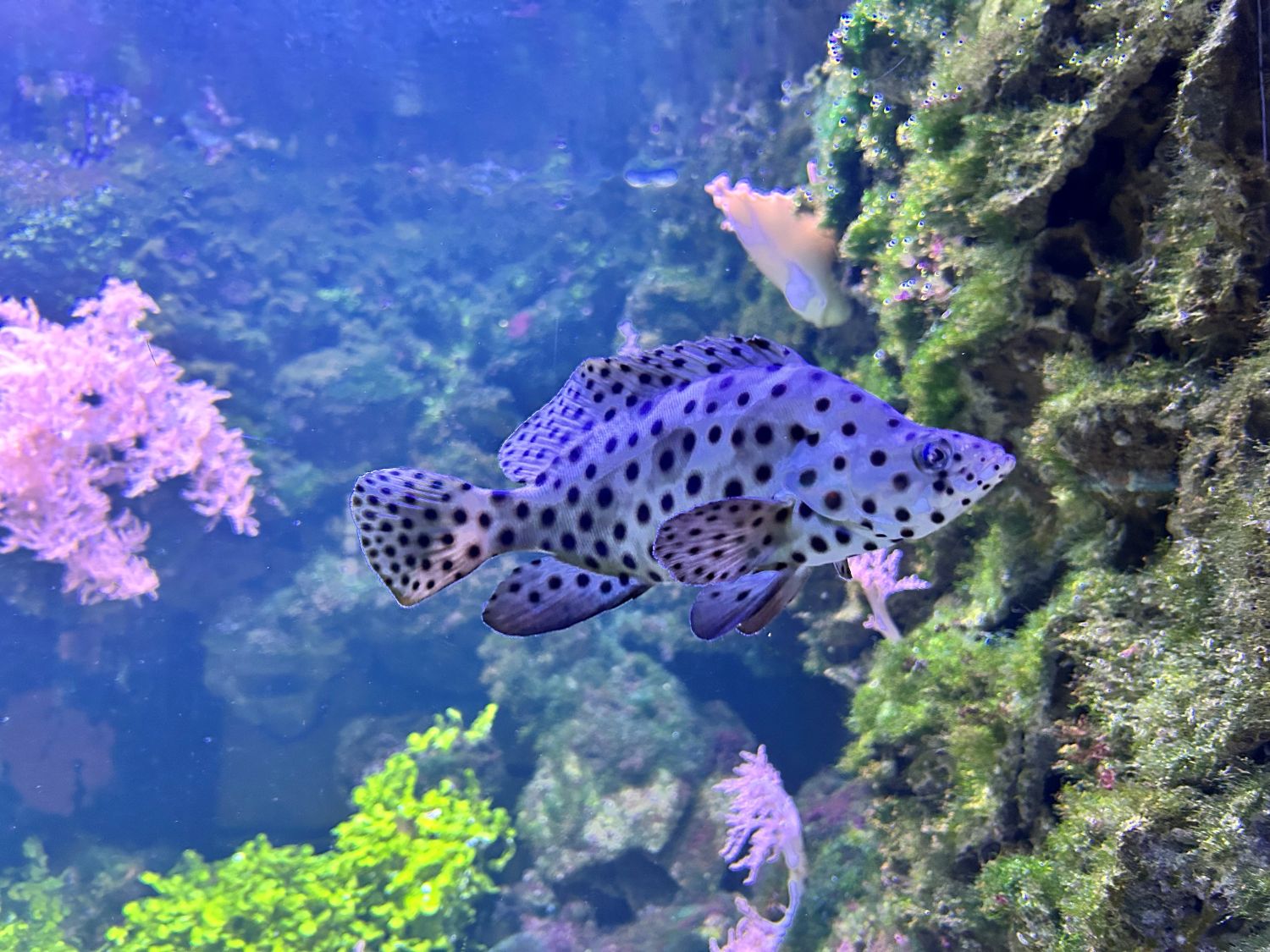 auch das Hellabrunner Aquarium öffnet seinen hinteren Bereich am Aktionstag