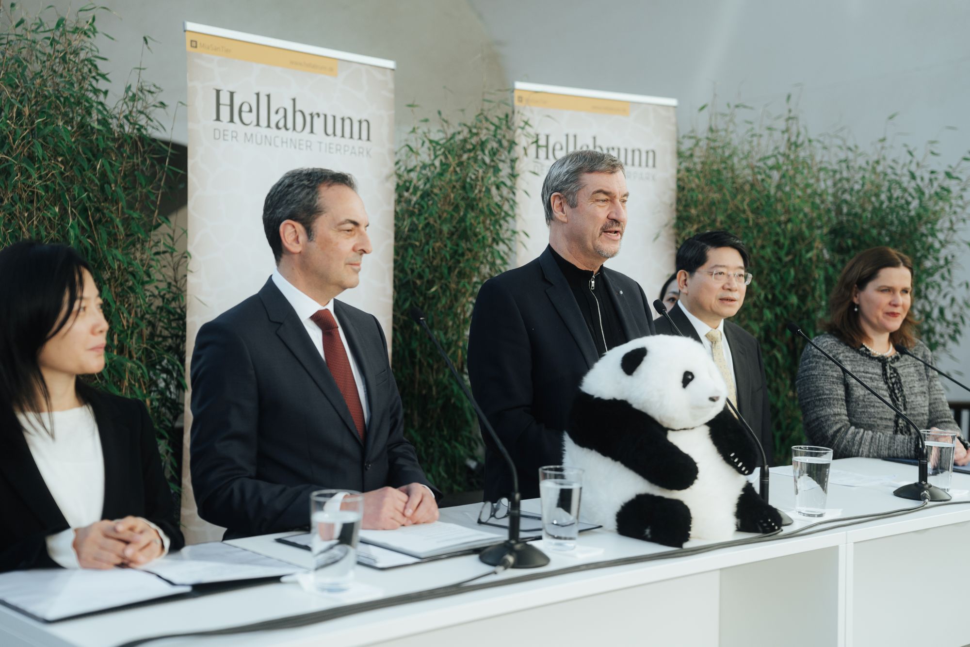 Vorstellung des Projekts im Hellabrunner Elefantenhaus