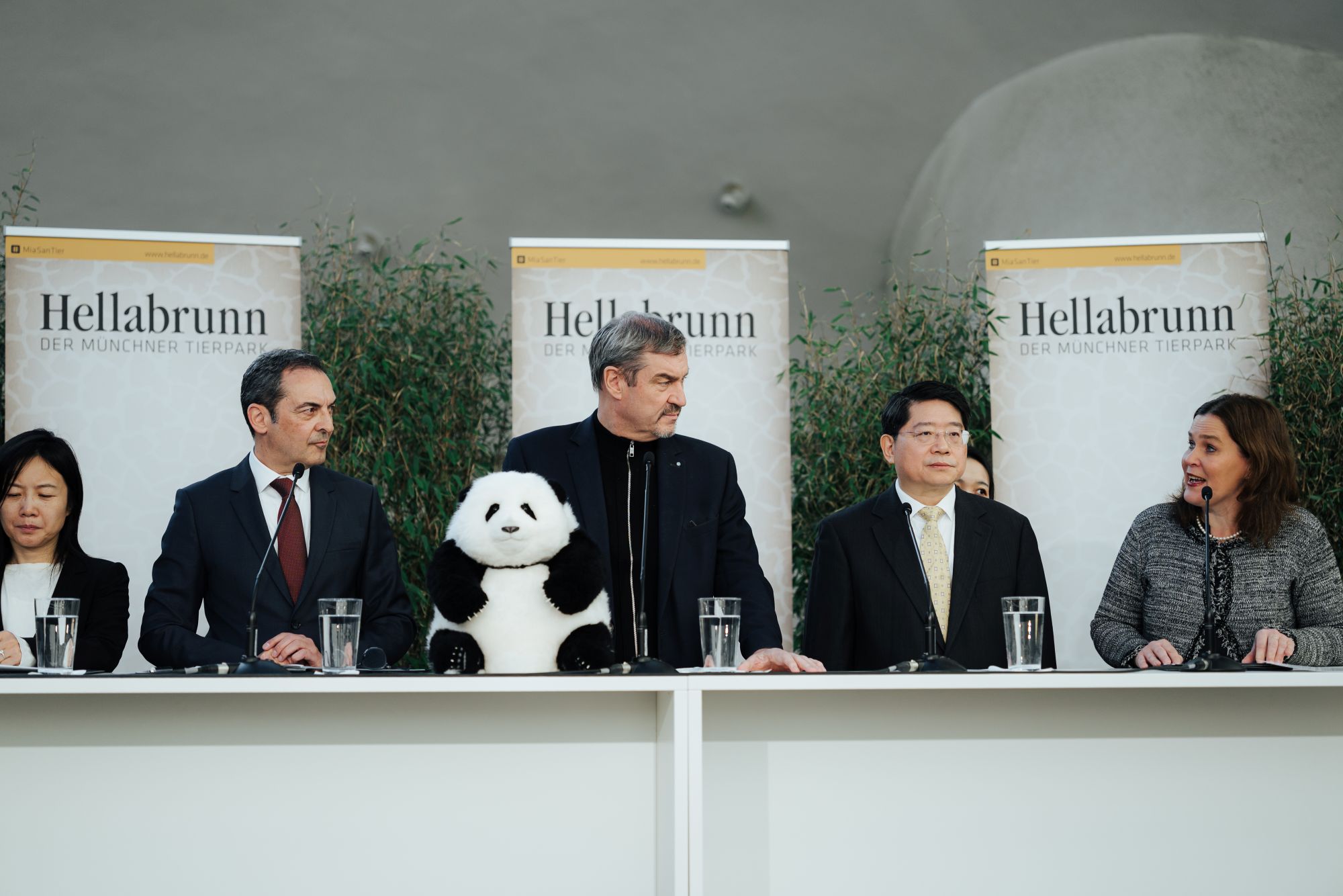 Vorstellung des Projektstarts im Hellabrunner Elefantenhaus