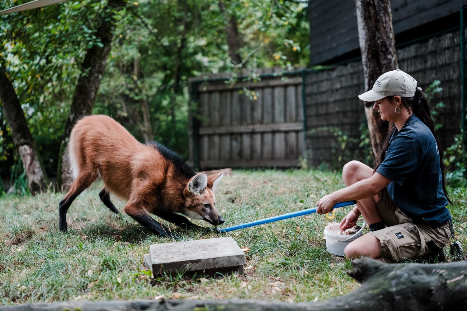 Training mit Target beim Medical Training im Tierpark Hellabrunn