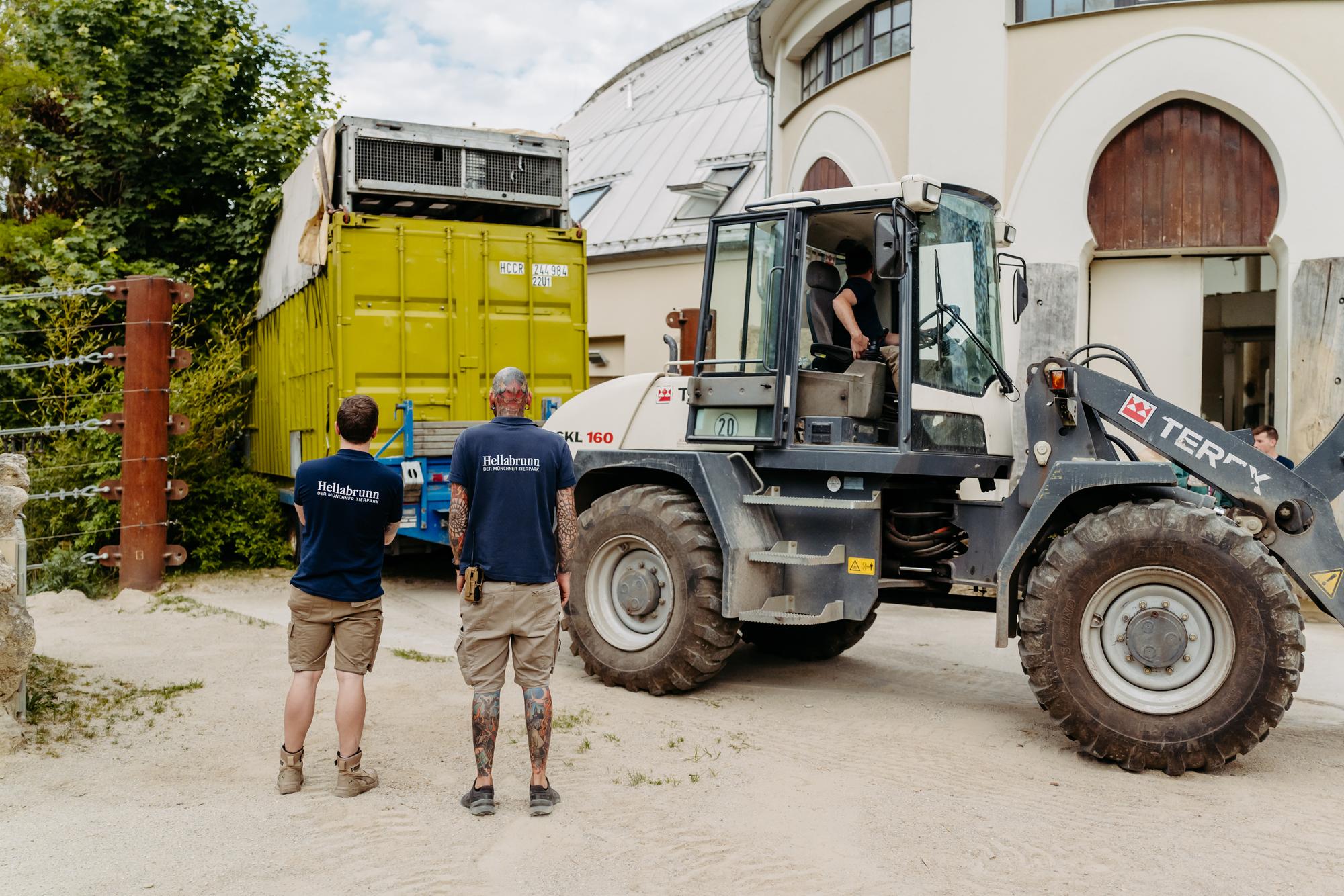 Die beiden Neuzugänge aus Leipzig erreichen im Transport-Container die Außenanlage (Foto: Jan Saurer).