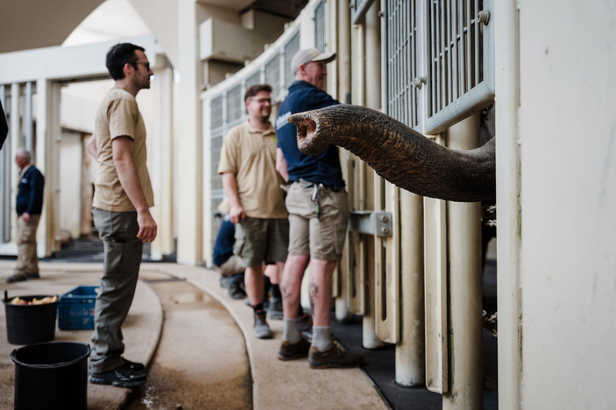 A first "sniff" of the new surroundings (Photo: Jan Saurer).