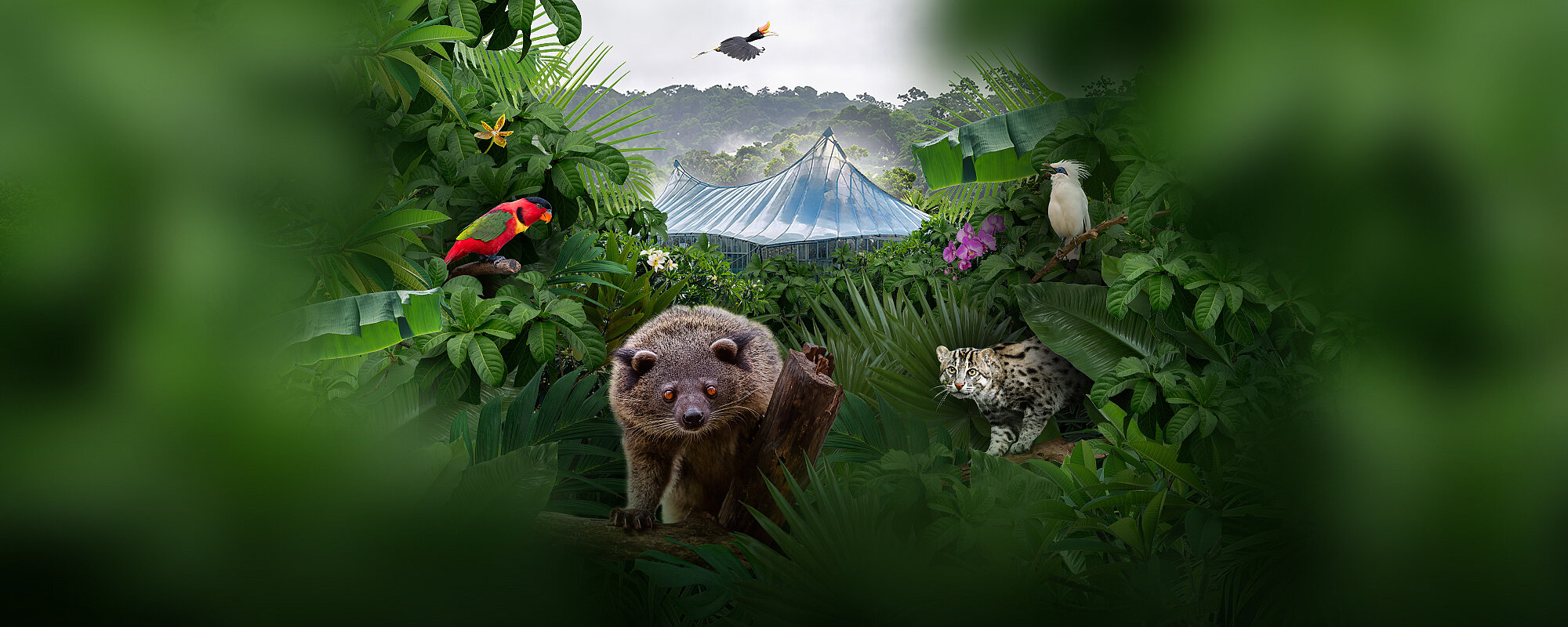 Im Juni 2026 wird die Dschungelwelt in Hellabrunn vollständig saniert wiedereröffnet.