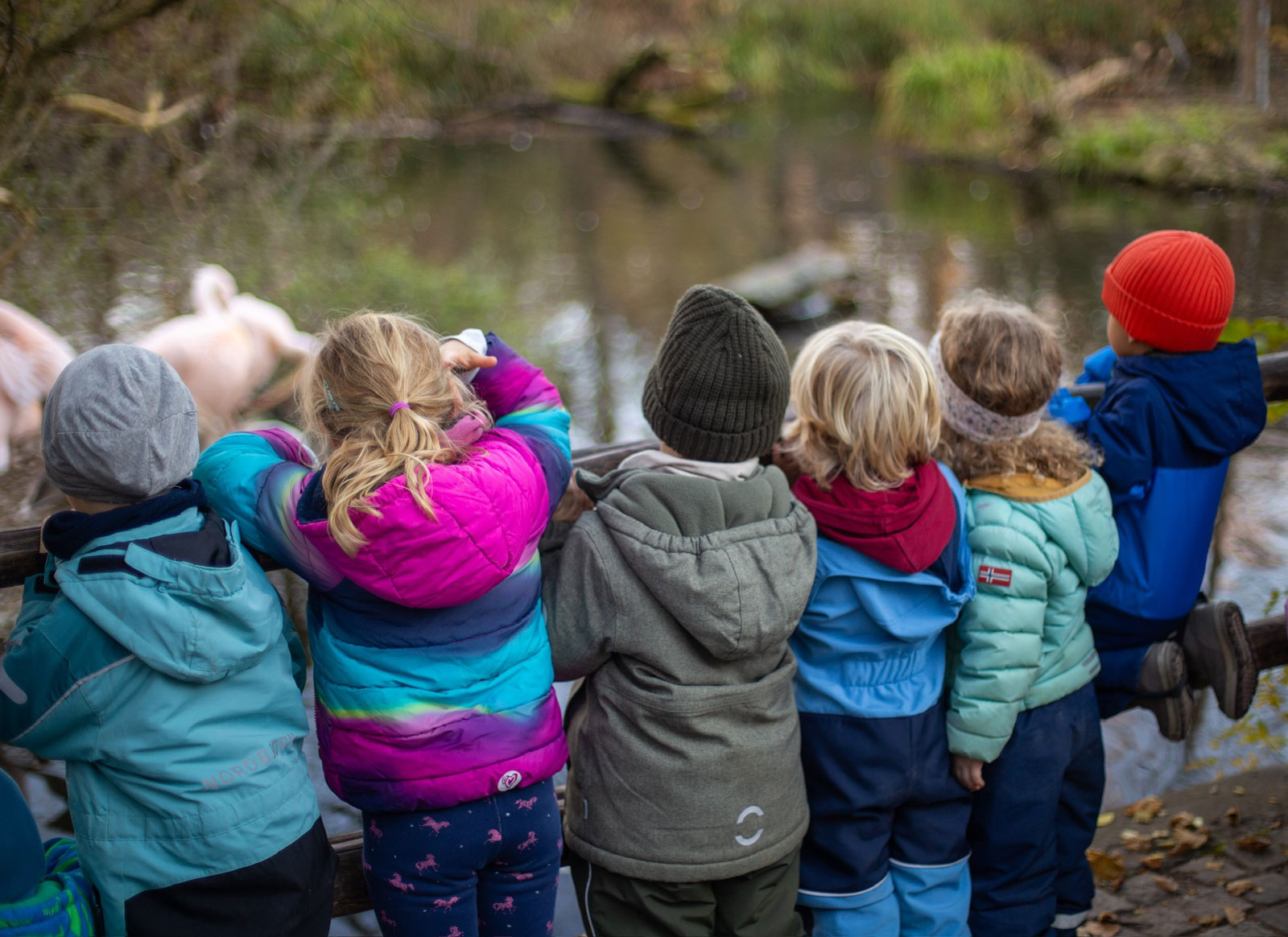 Mehrere Kinder beaobachten gespannt die rosa Flamingos
