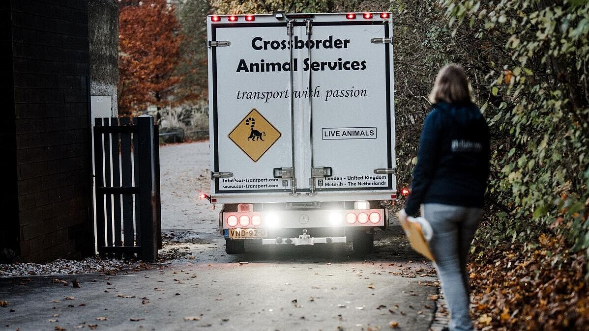 Tiertransport im Tierpark Hellabrunn 