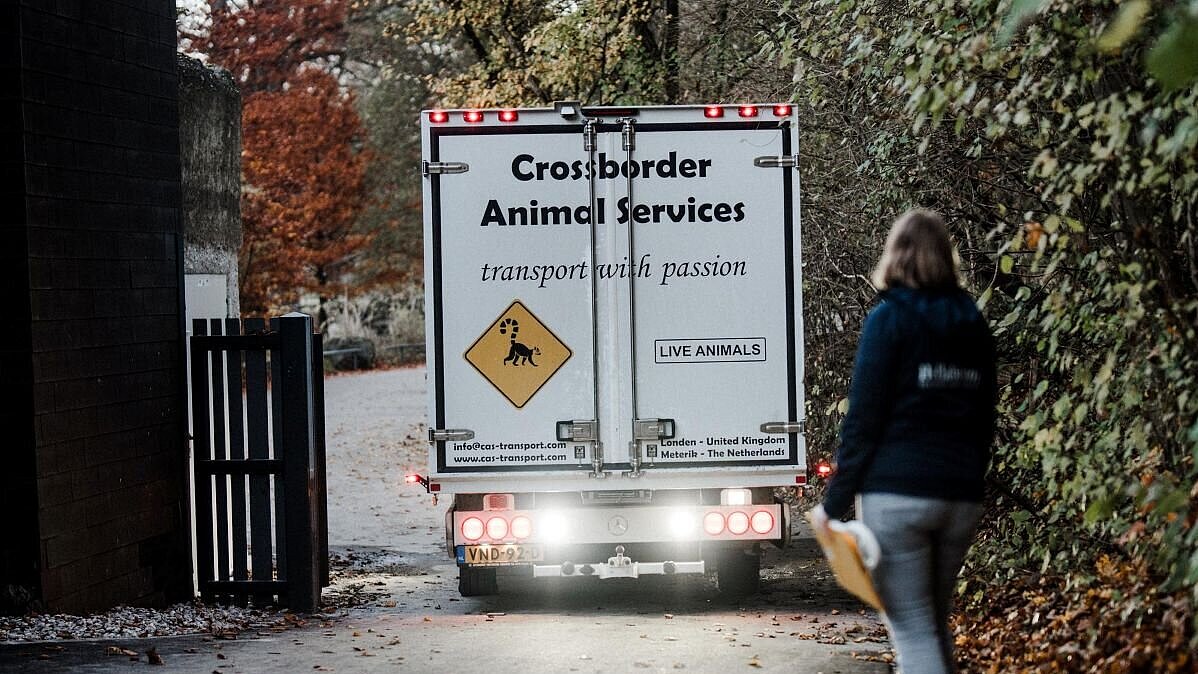 Tiertransport im Tierpark Hellabrunn 