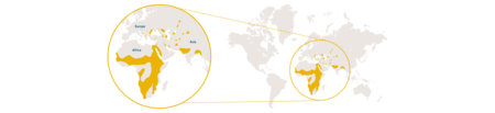 tierpark-hellabrunn-verbreitungskarte-rosapelikan-europa-englisch.png Distribution