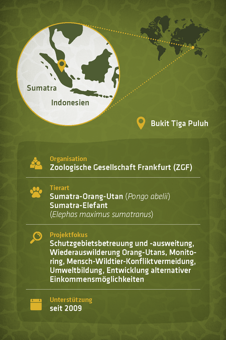 Steckbrief zu dem Artenschutzprojekt "Zoologische Gesellschaft Frankfurt"