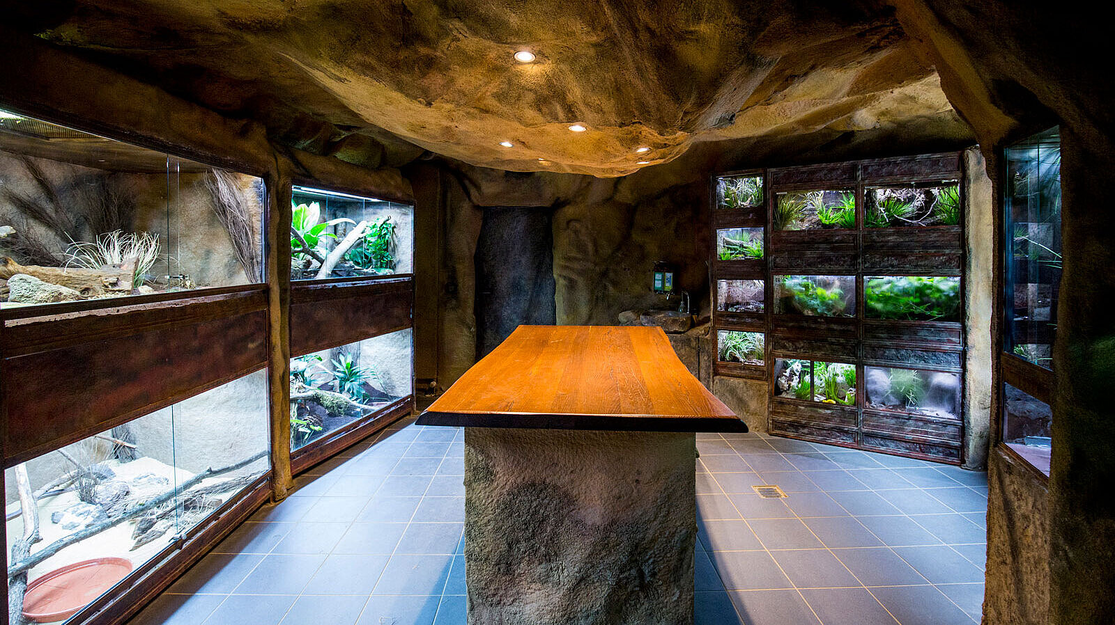 Terrarienraum mit Holztisch