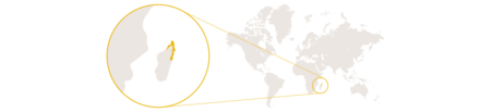 Distribution