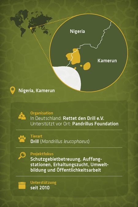 Steckbrief zu dem Artenschutzprojekt "Rettet den Drill"