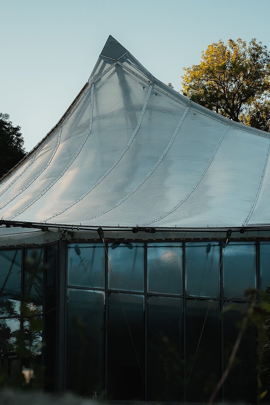 Dschungelwelt Außenansicht Dachzelt