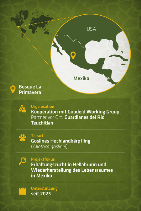 Steckbrief zum Artenschutzprojekt Goslines Hochlandkärpfling