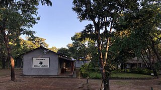 Tierklinik Chimfunshi Germany