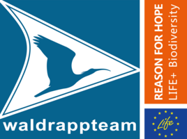 Logo Waldrappteam