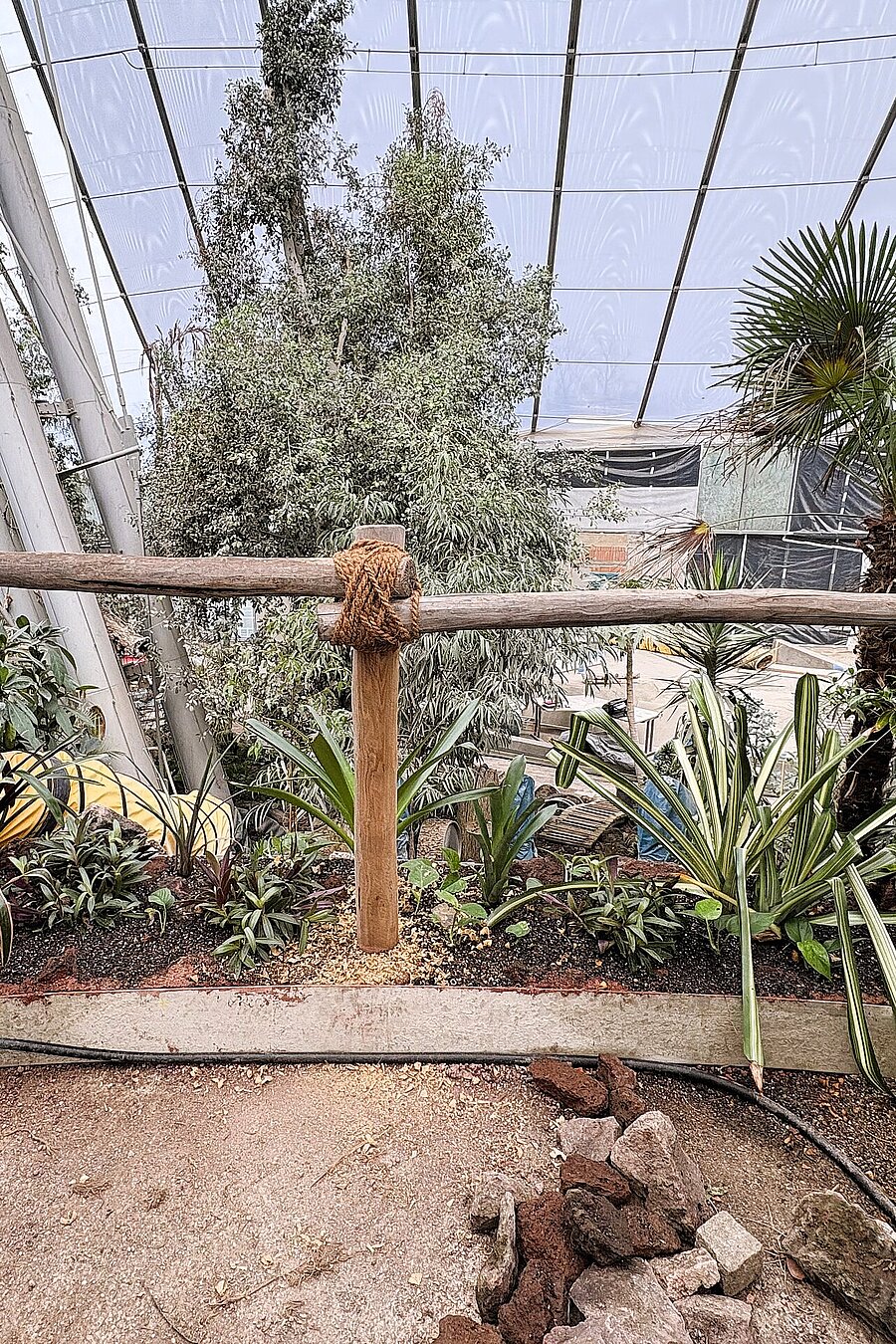 2025-12-12_dschungelwelt-bautagebuch-baustelle-tierpark-hellabrunn Baustelle Dschungelwelt Winter 2025