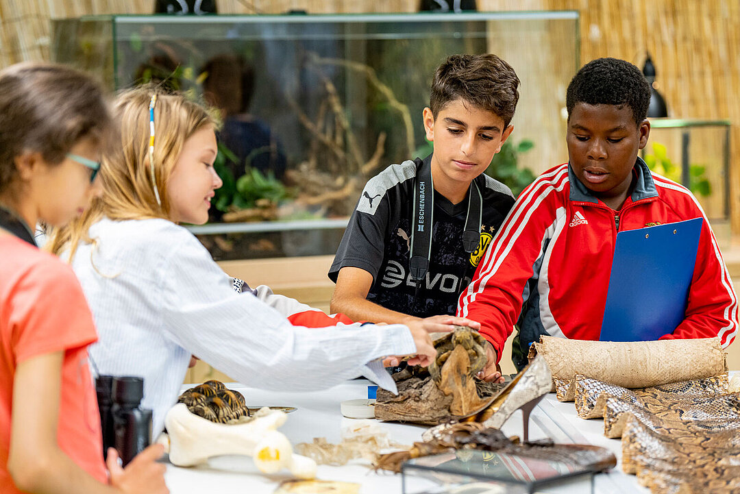 Vier Schüler im lebendigen Klassenzimmer der Tierparkschule.