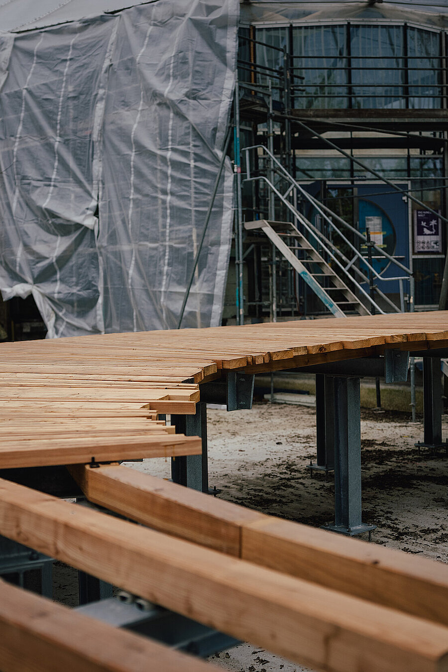 Dschungelwelt neuer Holzsteg