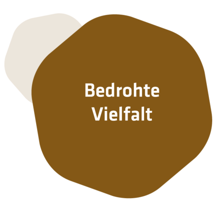 Das braune Keyvisual zu "Bedrohte Vielfalt".