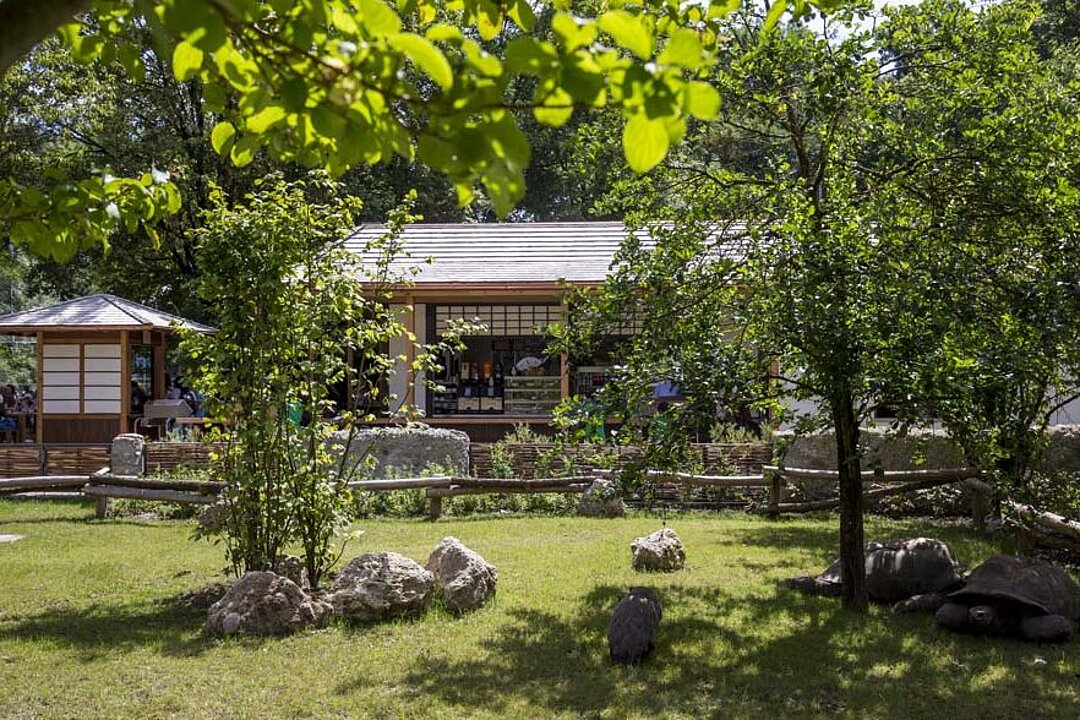 Blick auf den Außenbereich vom Tao Garten mit Bäumen im Vordergrund.