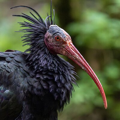 [Translate to English:] 