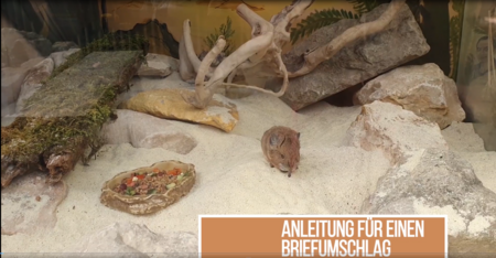 Video Upcycling Tierparkkalender: Briefumschlag