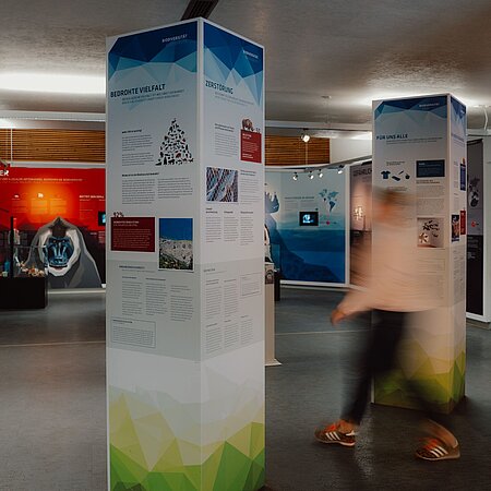 Ein bunter Ausstellungsraum mit mehreren deckenhohen Säulen im Raum. Eine Person ist verschwommen im Raum zu sehen.