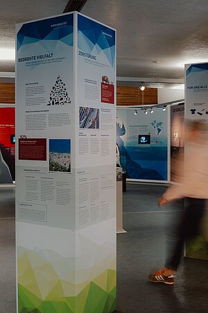 Ein bunter Ausstellungsraum mit mehreren deckenhohen Säulen im Raum. Eine Person ist verschwommen im Raum zu sehen.  