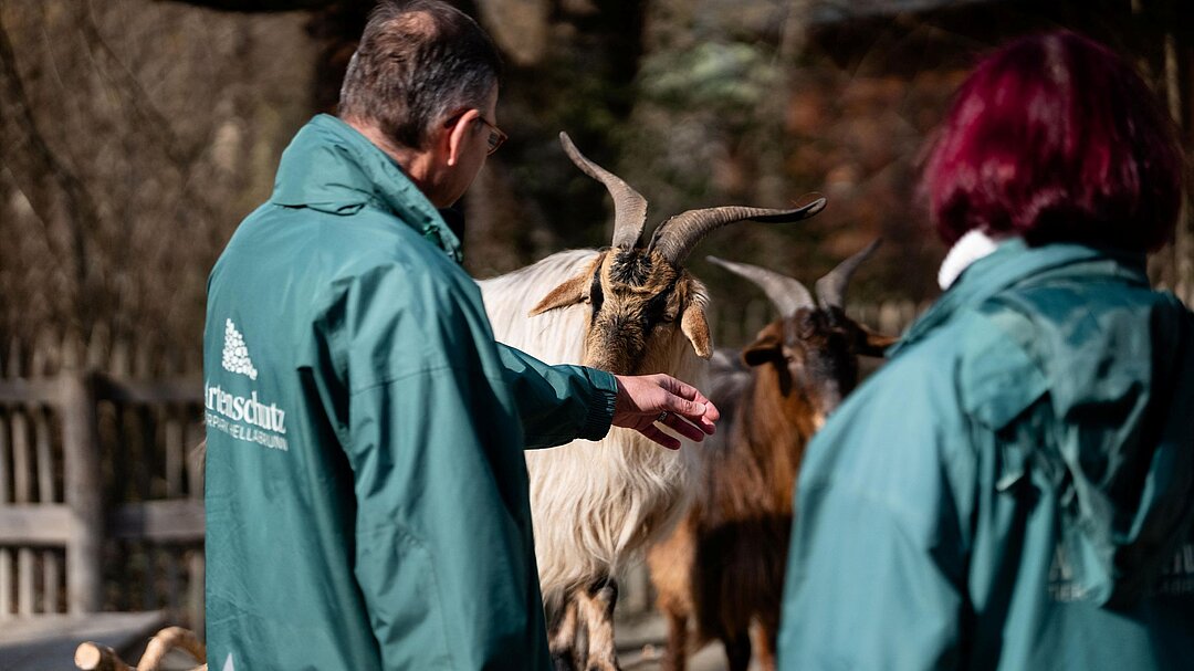 Artenschutzbotschafter und Bulgarische Langhaarziege