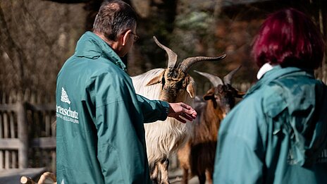 Artenschutzbotschafter und Bulgarische Langhaarziege