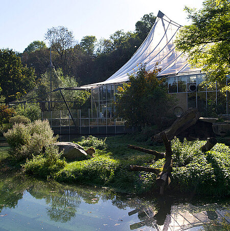 Die Dschungelwelt in Hellabrunn.