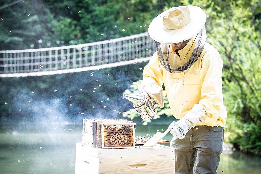 [Translate to English:] Der Imker mit Schutzkleidung am Arbeiten beim Bienenstock.