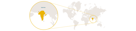 Distribution