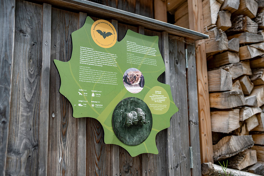 Das grünfarbene Schild bietet Besuchern interesannte Fakten über die Fledermaus zum Lesen.