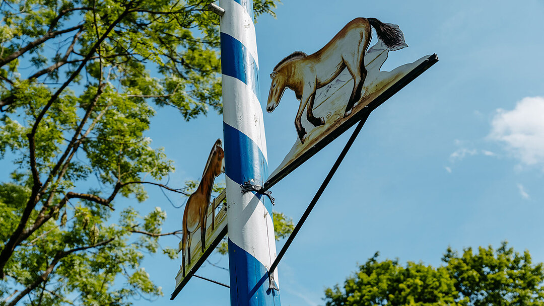 der Tierpark-Maibaum im Closeup.