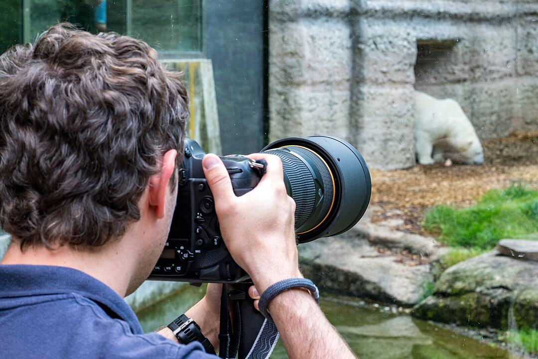Fotokurs mit Marc Müller Der Fotograf Marc Müller nimmt mit seiner Kamera den Eisbären ins Visier.