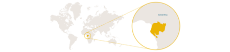 Distribution Western lowland gorilla